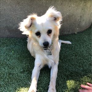 Meet your Posher, Dani